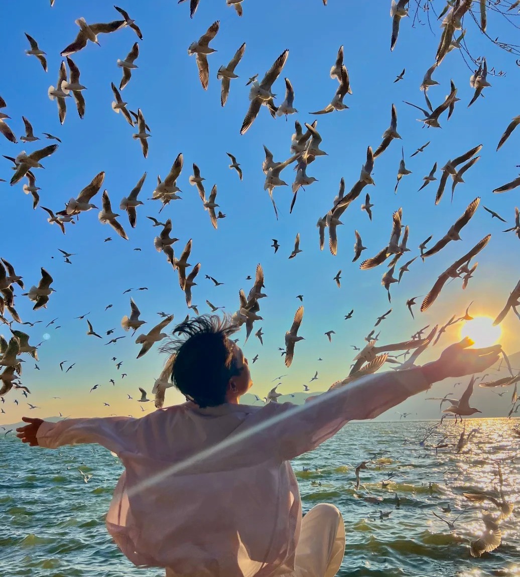 Ngắm hải âu ở hồ Điền Trì