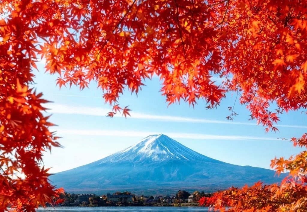 RỰC RỠ SẮC THU CUNG ĐƯỜNG VÀNG NHẬT BẢN 5N5Đ [OSAKA-KYOTO-PHÚ SỸ-TOKYO-NARITA]